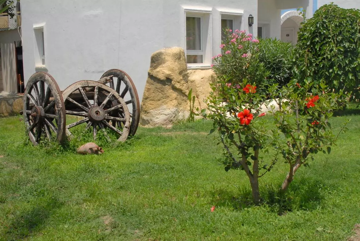 SUNCLUB_SHABAVIZ (11).jpg